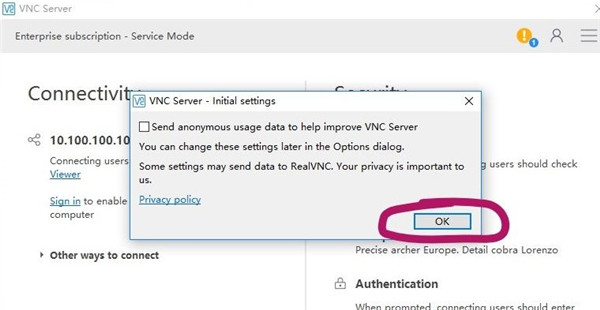 RealVNC Viewer绿色版使用教程截图5