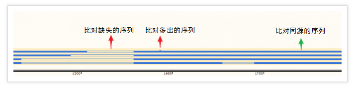多序列比对教程5