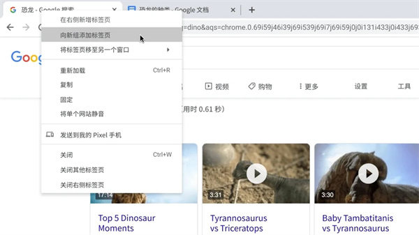 谷歌浏览器旧版本使用技巧