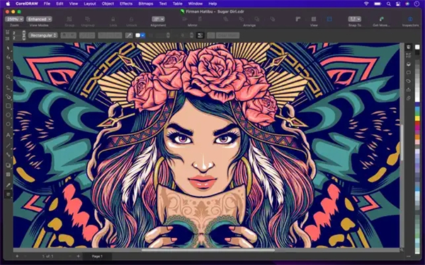CorelDRAW 2023中文特别版 第2张图片