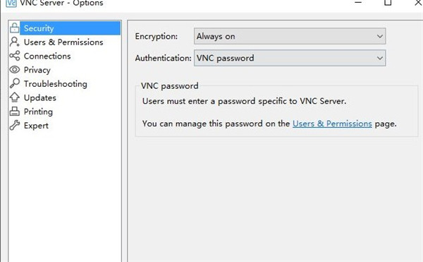 RealVNC Viewer绿色版使用教程截图9