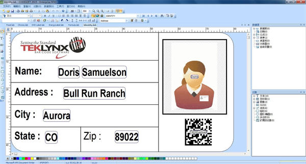 Codesoft中文版 第2张图片