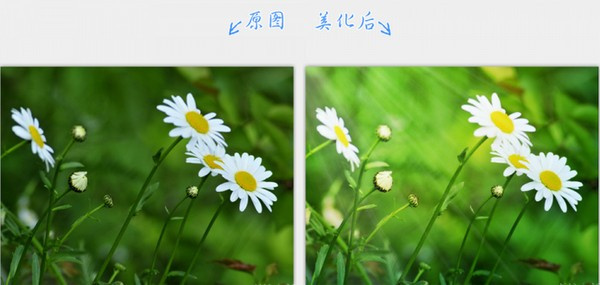 2345看图王正式版 第2张图片