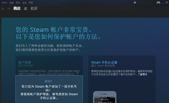 Steam电脑版