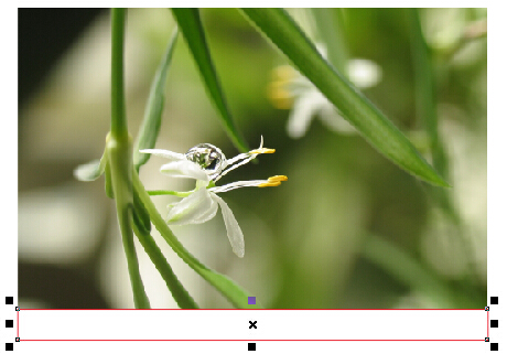 怎么删除多余部分3