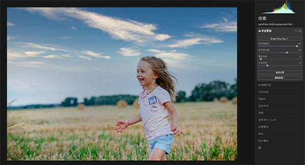 Luminar AI人工智能修图神器使用教程截图7