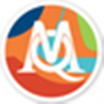 MAXQDA Analytics Pro 2020(质性分析软件) v20.2.1 中文版