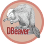 DBeaver通用数据库工具 v6.2.4 中文特别版