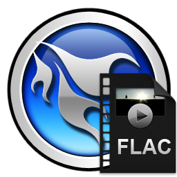 AnyMP4 FLAC Converter(flac音频格式转换器)电脑版下载 v6.2.26 官方