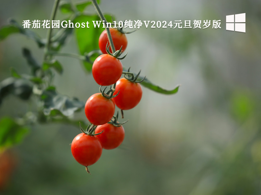 番茄花园Ghost Win10纯净V2024元旦贺岁版-第1张图片-铖浩科技