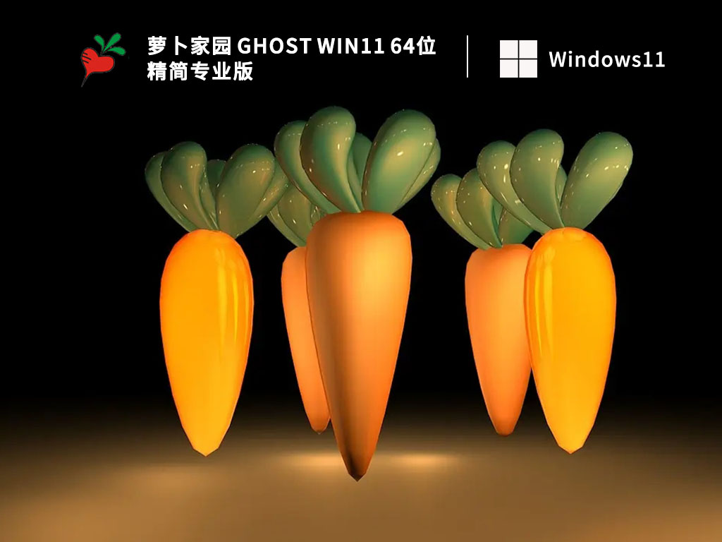 萝卜家园 Ghost Win11 64位 精简专业版 V2023-第1张图片-铖浩科技