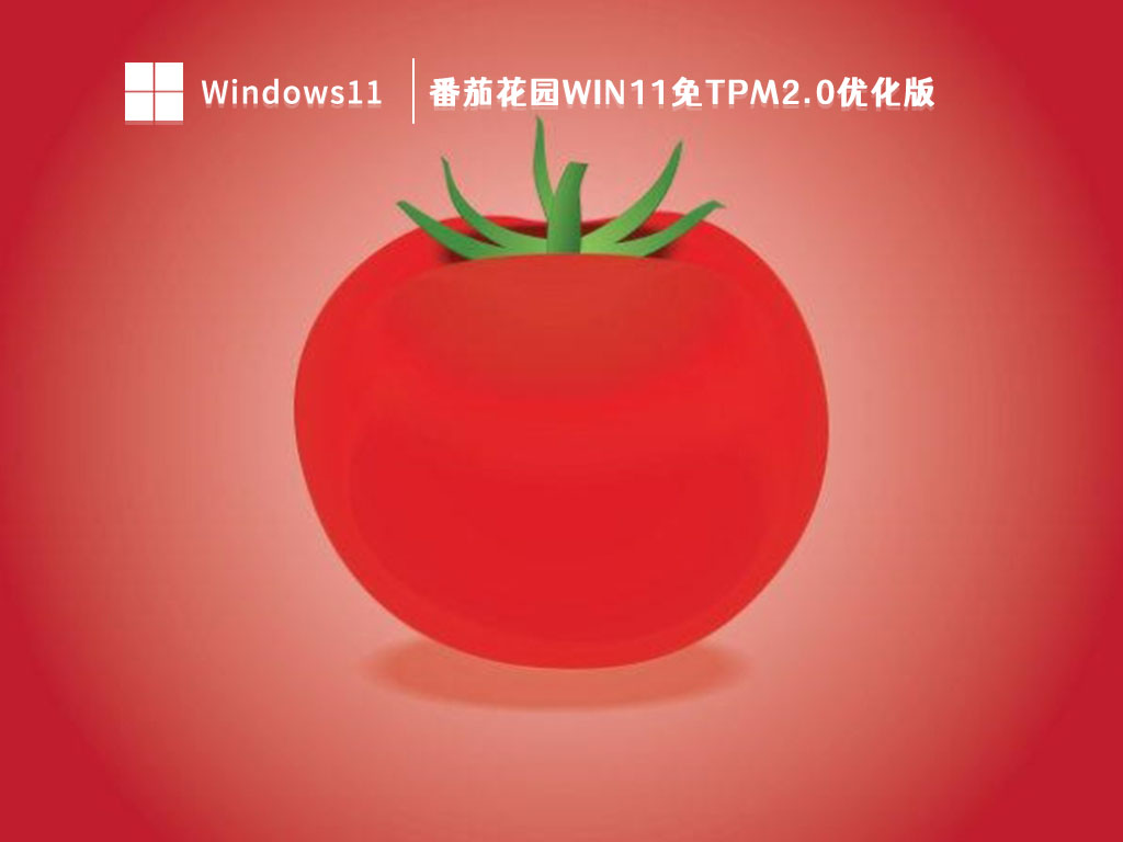 番茄花园Win11免tpm2.0优化版 V2023-第1张图片-铖浩科技