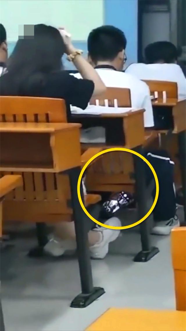 win11 教育版 Win11教育版-第1张图片-铖浩科技