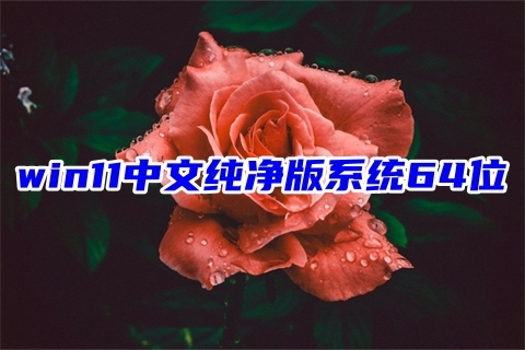 win11预览版纯净下载 win11中文纯版系统64位下载windows11免激活系统镜像文件下载 -第1张图片-铖浩科技