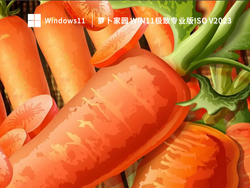 萝卜家园 Win11极致专业版ISO V2023-第1张图片-铖浩科技