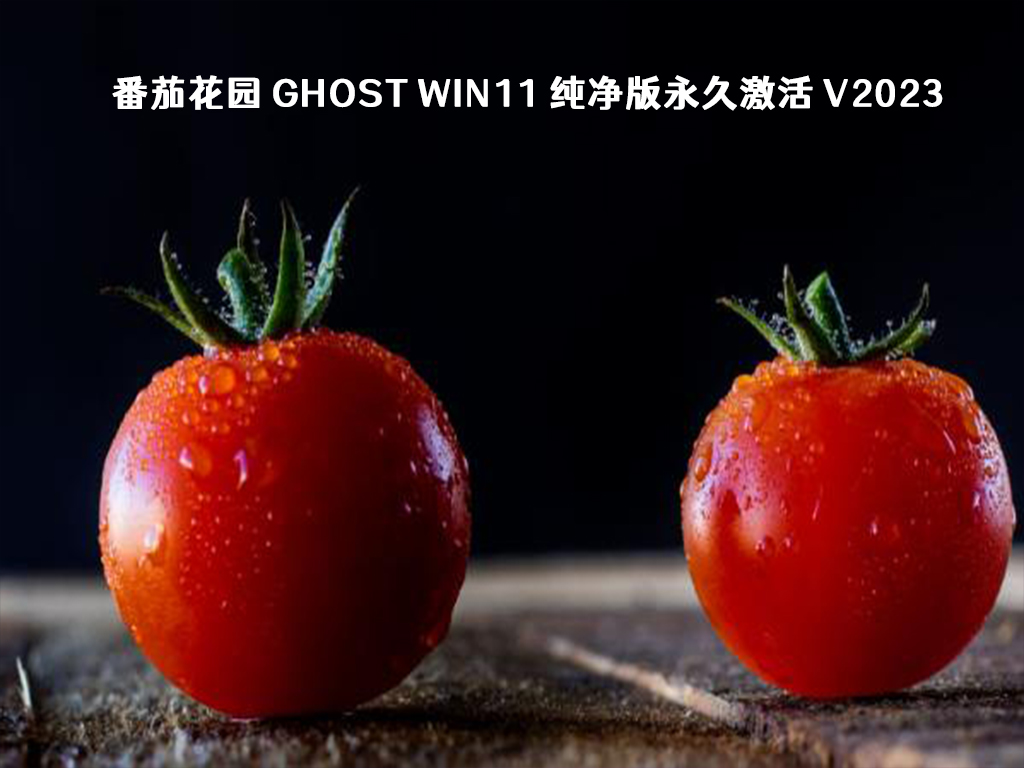 番茄花园 Ghost Win11 纯净版永久激活 V2023-第1张图片-铖浩科技