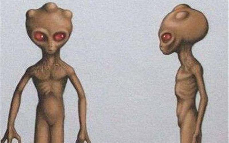 巴西亞馬遜外星人事件(巴西亞馬遜外星人的事件被處理了嗎)