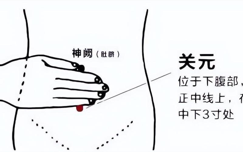 关元穴位位置图(关元穴位位置图大全)
