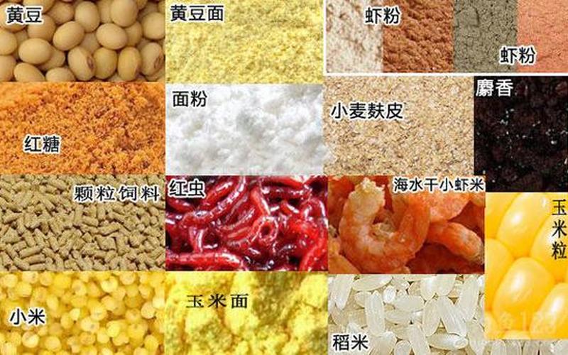 钓鲤鱼饵料配方;钓鲤鱼饵料配方合集