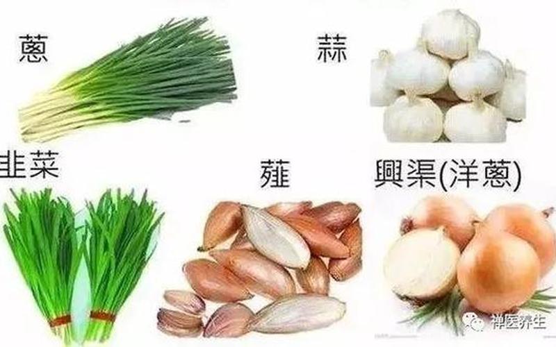 不沾葷腥的葷是什么意思(不沾葷腥的葷是什么意思螞蟻莊園)