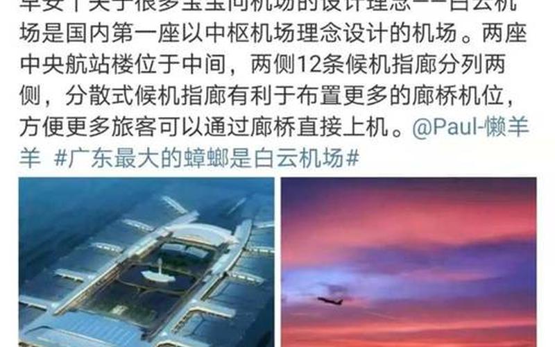 白云機場是更大蟑螂_白云機場 更大蟑螂