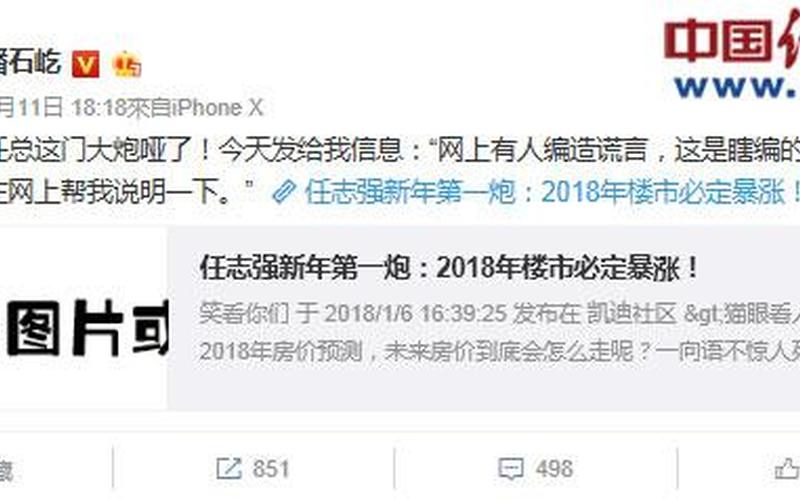 关于任志强