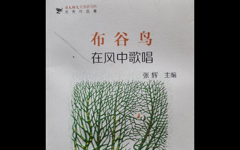 布谷cctv5在線直播;布谷鳥cctv5