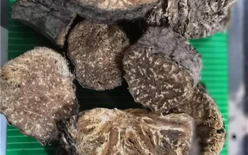 阿魏釣魚怎么用_阿魏釣魚怎么用？