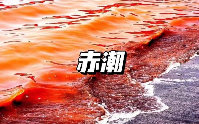 赤潮形成的原因;赤潮形成的原因的主要元素有哪些