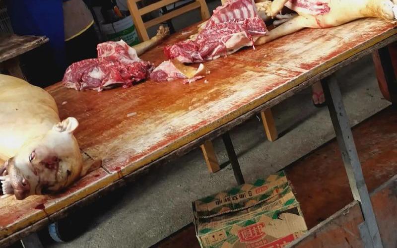 广西狗肉节_广西 狗肉节