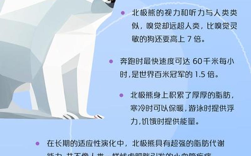 北極熊團多少人_北極熊軍團有多少人
