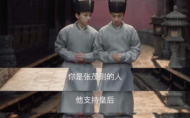 曹皇后和張茂則_曹皇后和張茂則什么關系