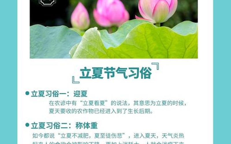 关于2020立夏是哪天的信息-2023年的立夏是哪一天