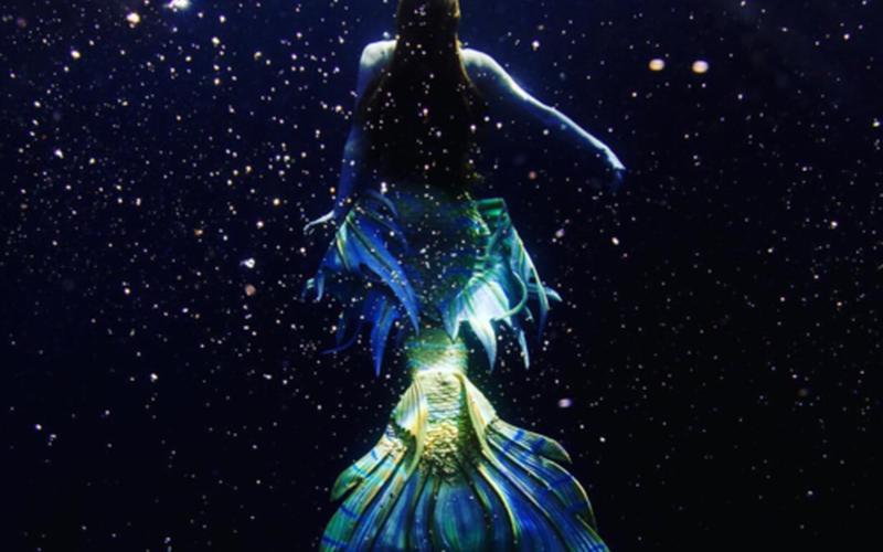 北冰洋疑發(fā)現(xiàn)美人魚_最近在北冰洋發(fā)現(xiàn)一條魚