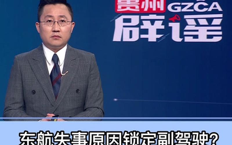东航副驾驶;东航副驾驶喊了一句什么