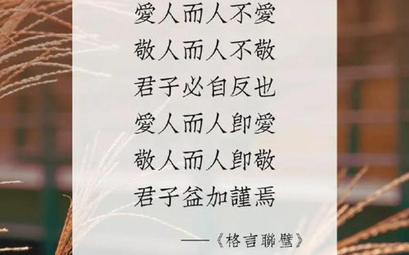 愛以舍為尊(愛以舍為尊是什么意思啊)