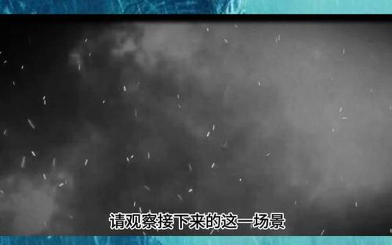 巴西ufo事件;巴西ufo事件视频