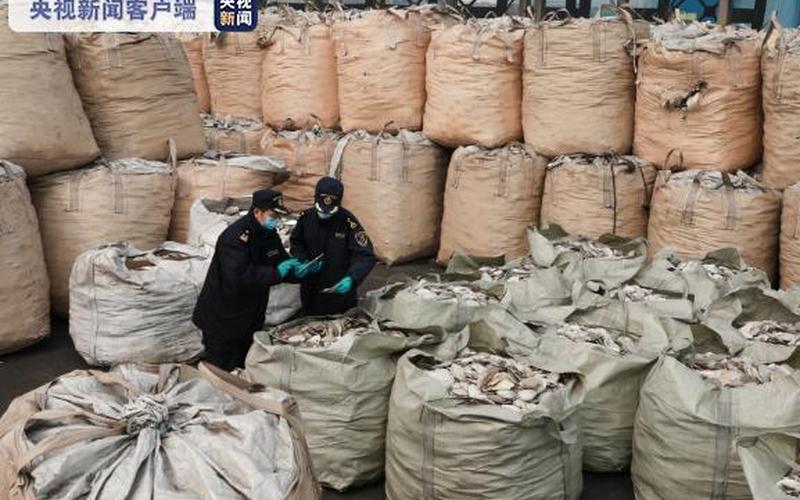 查獲千余噸洋垃圾_海關查獲21.5噸洋垃圾