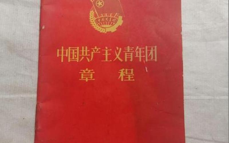 共青团团章-共青团团章程