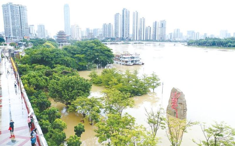 广西洪涝超10万人受灾(广西洪涝超10万人受灾了吗)