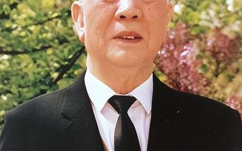 關于王震新疆的信息