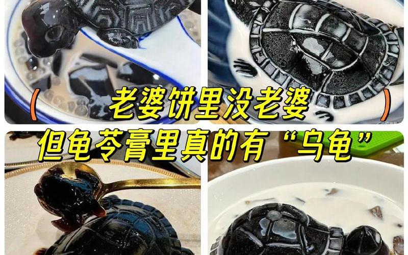 龟苓膏里真的有乌龟吗(龟苓膏里真的有乌龟吗？)
