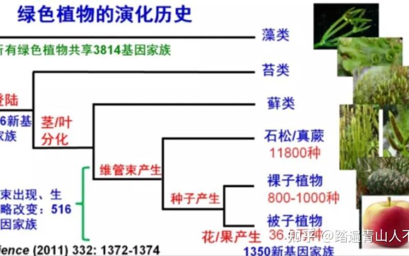 百家争鸣出现的原因;战国时期百家争鸣出现的原因