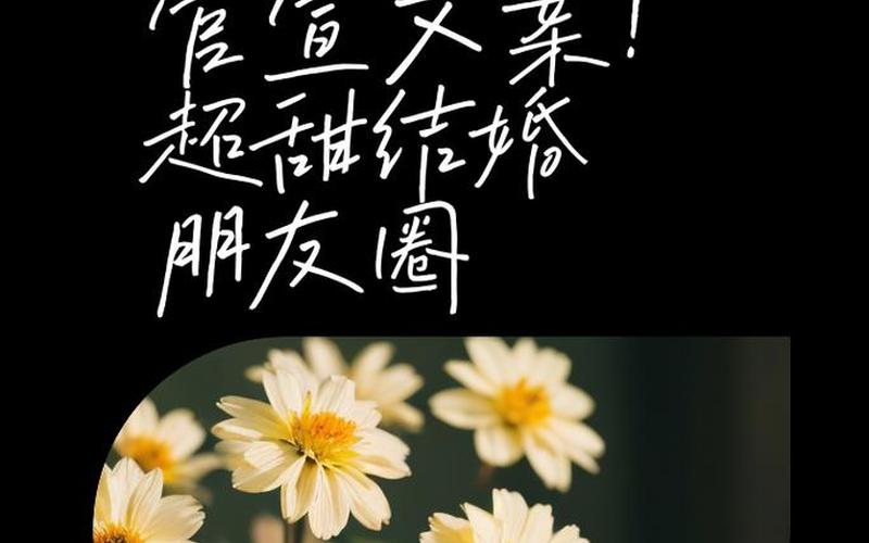 官宣的意思是什么;官宣的意思是什么意思