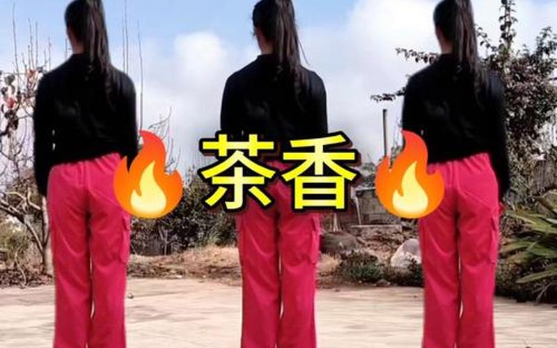 采茶舞广场舞-采茶舞广场舞视频大全