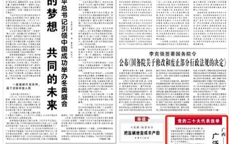 党的二十大代表选举