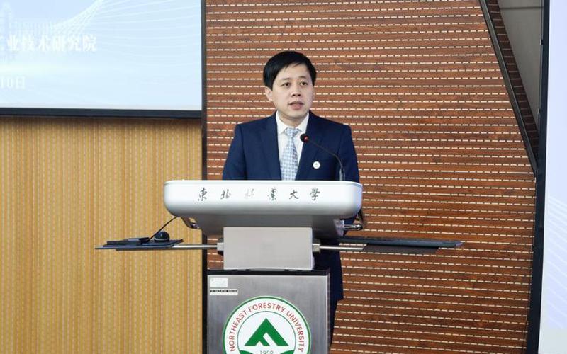 东北新闻网教育频道(东北新闻网教育频道节目表)