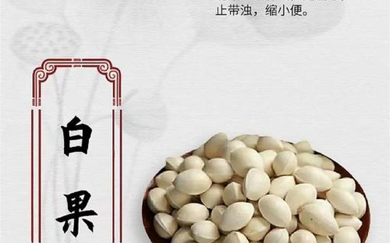 白果是什么_白果是什么植物的果实