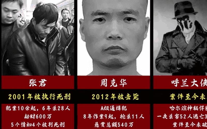 共和國十大悍匪(共和國十大悍匪排行榜田建明)