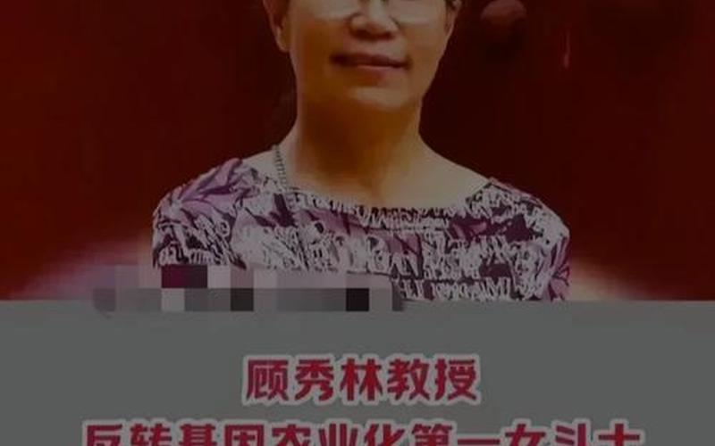顾秀